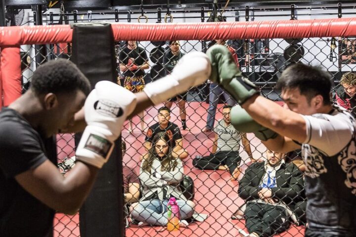 Two members sparring in the cage during an MMA class at Chau Kaizen in Prospect, Adelaide