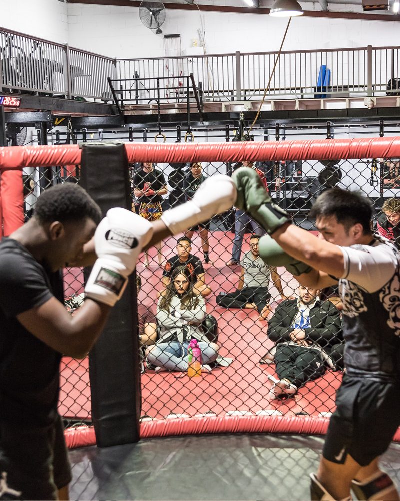 Two members sparring in the cage during an MMA class at Chau Kaizen in Prospect, Adelaide